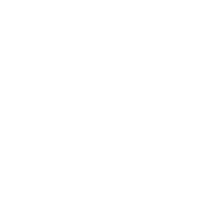 logo for navbar